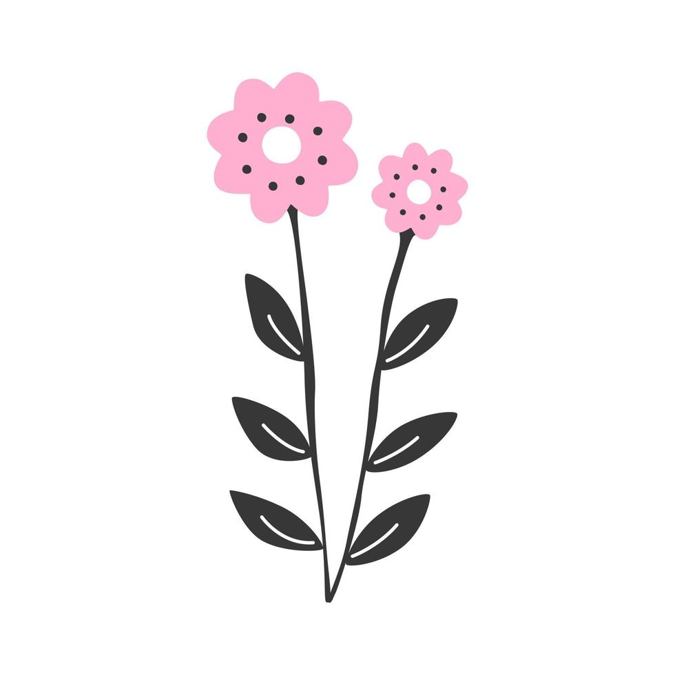 rosa vektor isolerade blomma. blommande illustration av en vårväxt