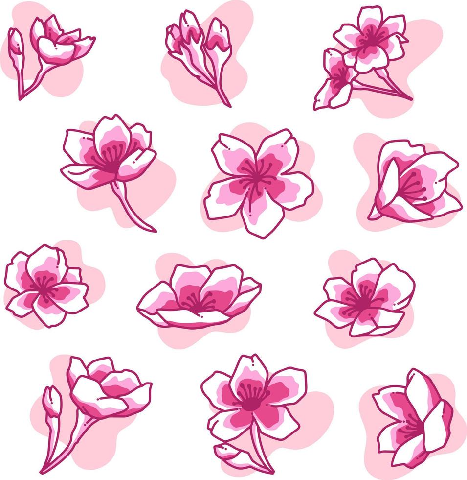 sakura blommor doodle illustration pack vektor
