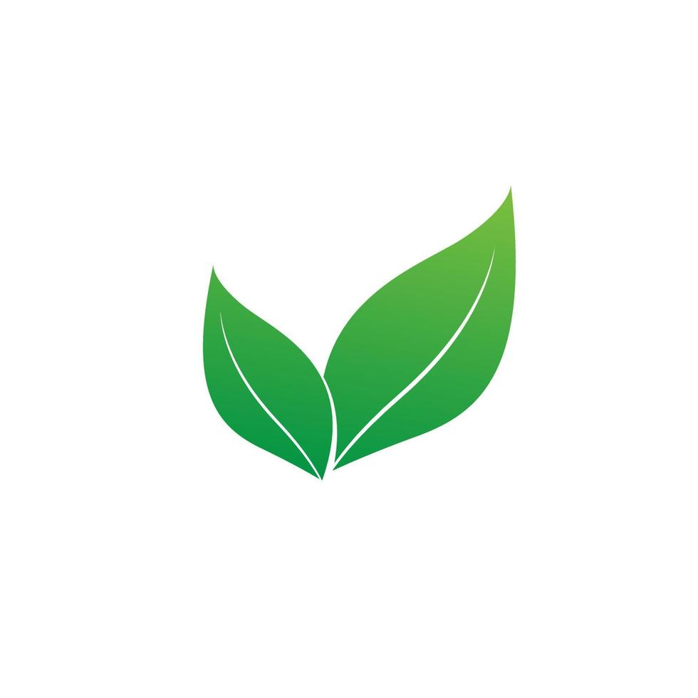 två gröna blad symboler på en vit bakgrund, grönt, ikoner, logotyp, objekt, vår och växande konceptdesign vektor