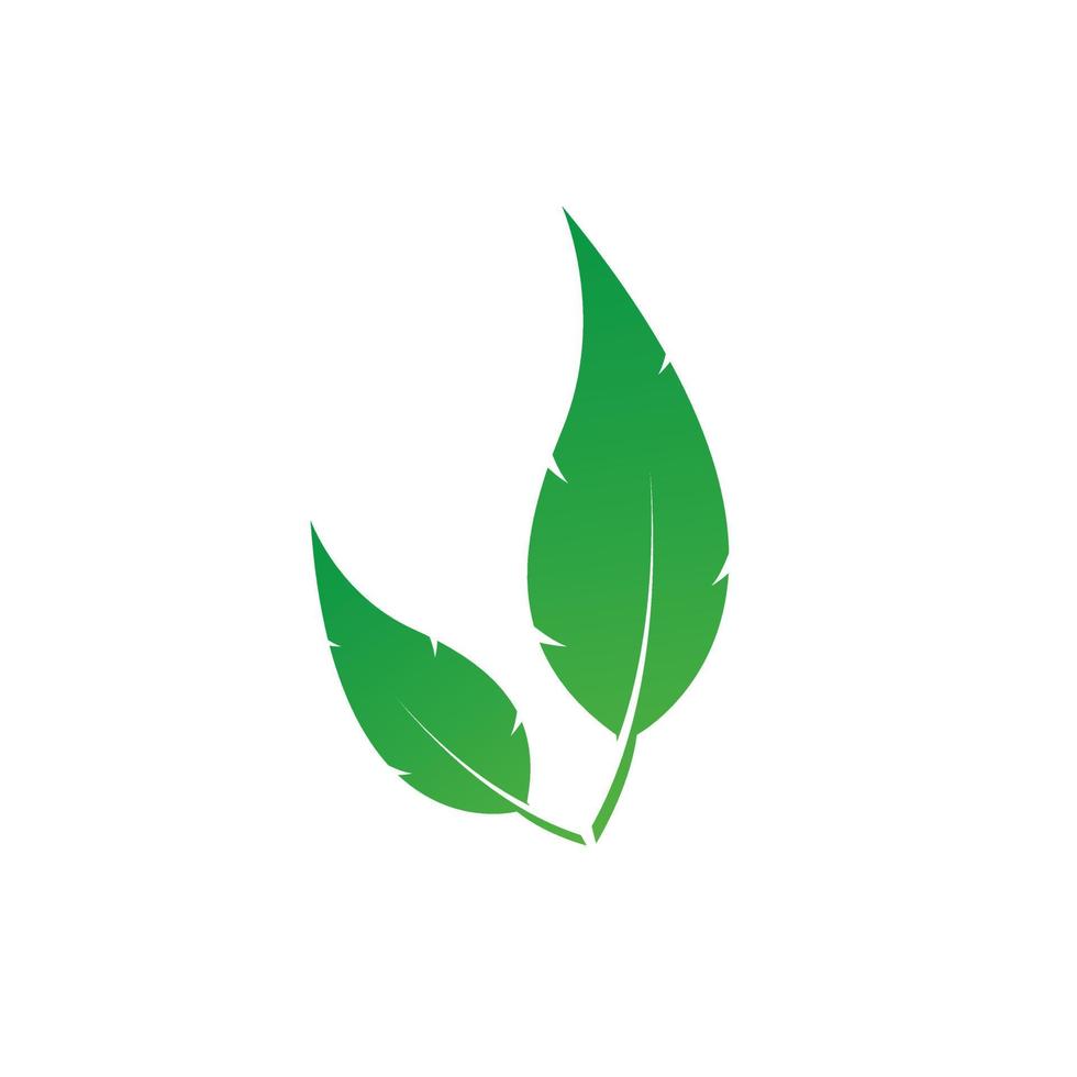 Design mit zwei Vektorgrünblättern auf weißem Hintergrund, nettes Blattlogo, das für die verwendete Logovorlage isoliert ist, und grüne Blätter hurb. vektor