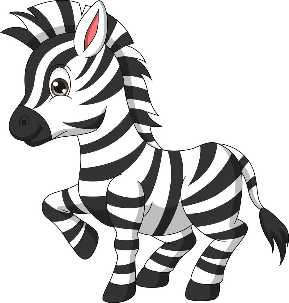 niedlicher zebra-cartoon auf weißem hintergrund vektor