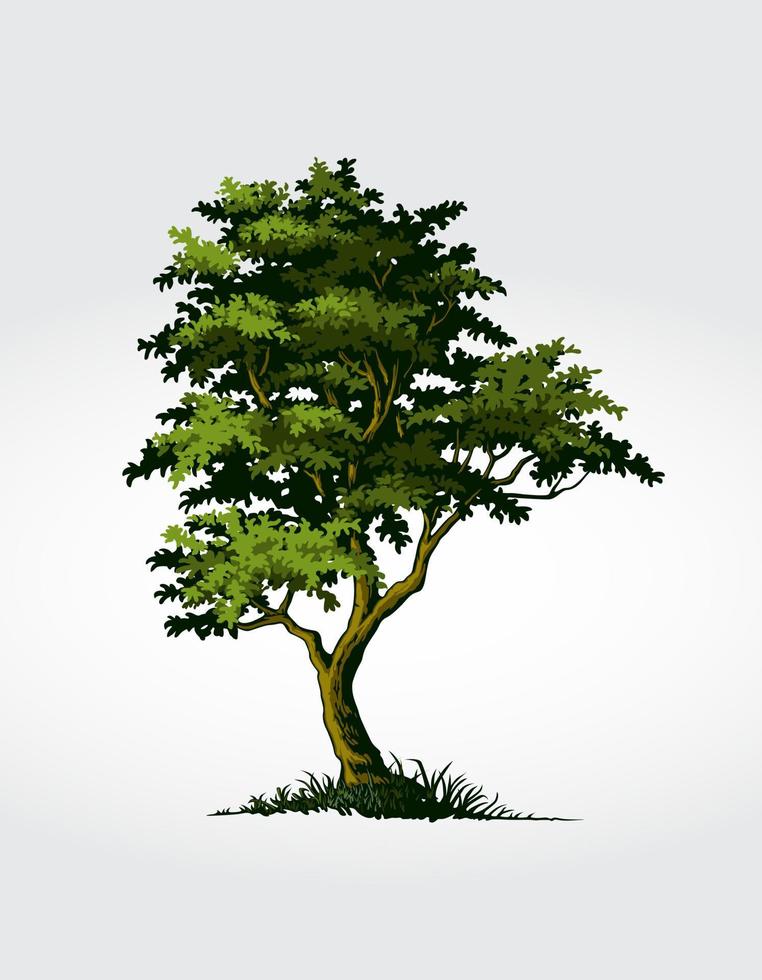 träd vektor illustration. träd en symbol för styrka, kraft, livslängd, frihet, fertilitet, hopp och kontinuitet.