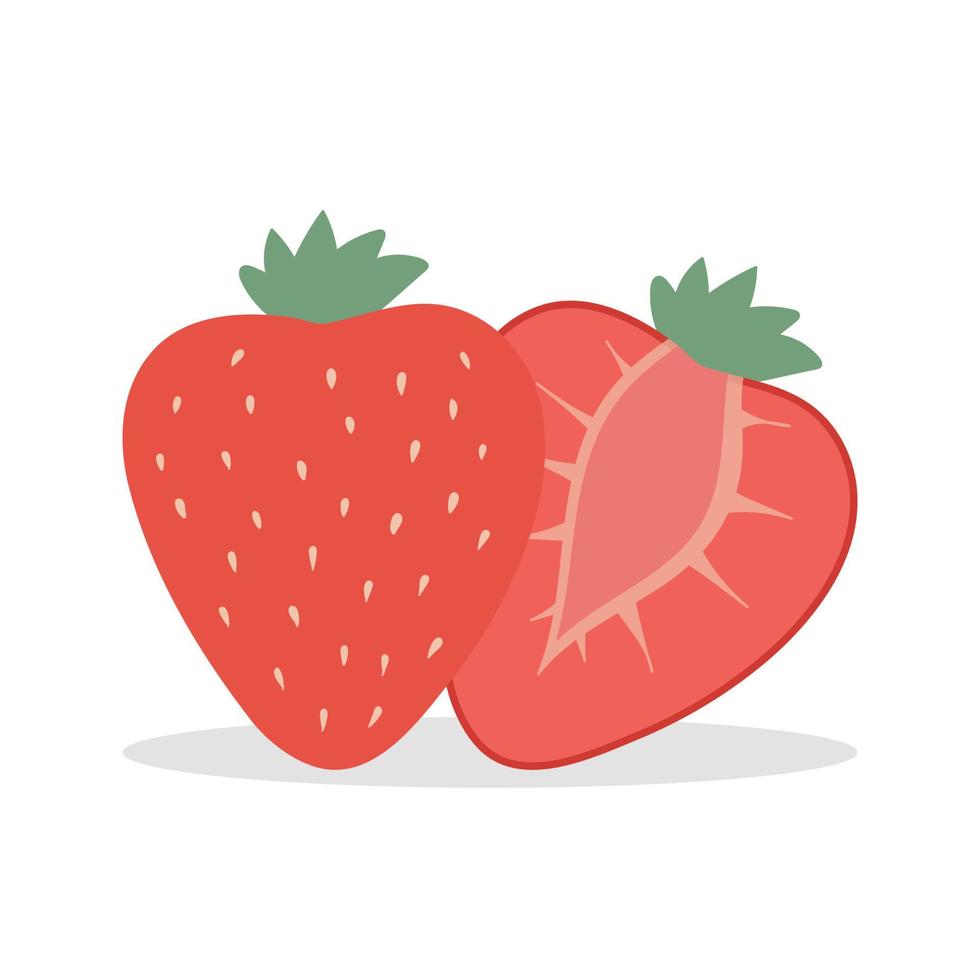 reife rote Erdbeeren und eine halbe Erdbeere. isoliert auf weißem Hintergrund. vektor