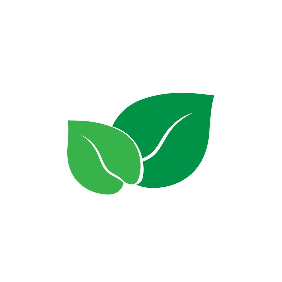 moderne Öko-Symbol grüne Blatt-Vektor-Illustration isoliert. Vektor und Illustration