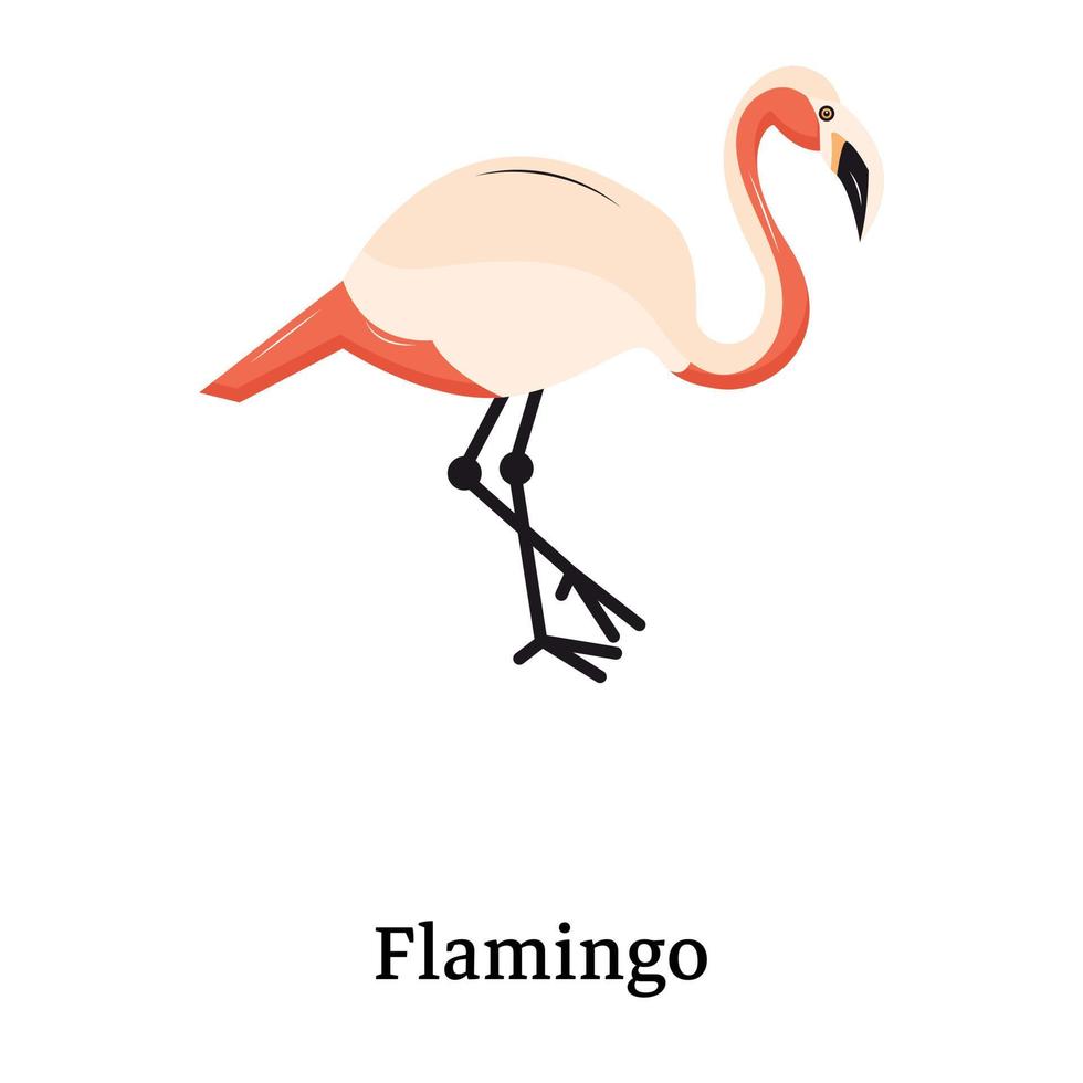 en platt ikon av flamingo är redo att användas vektor