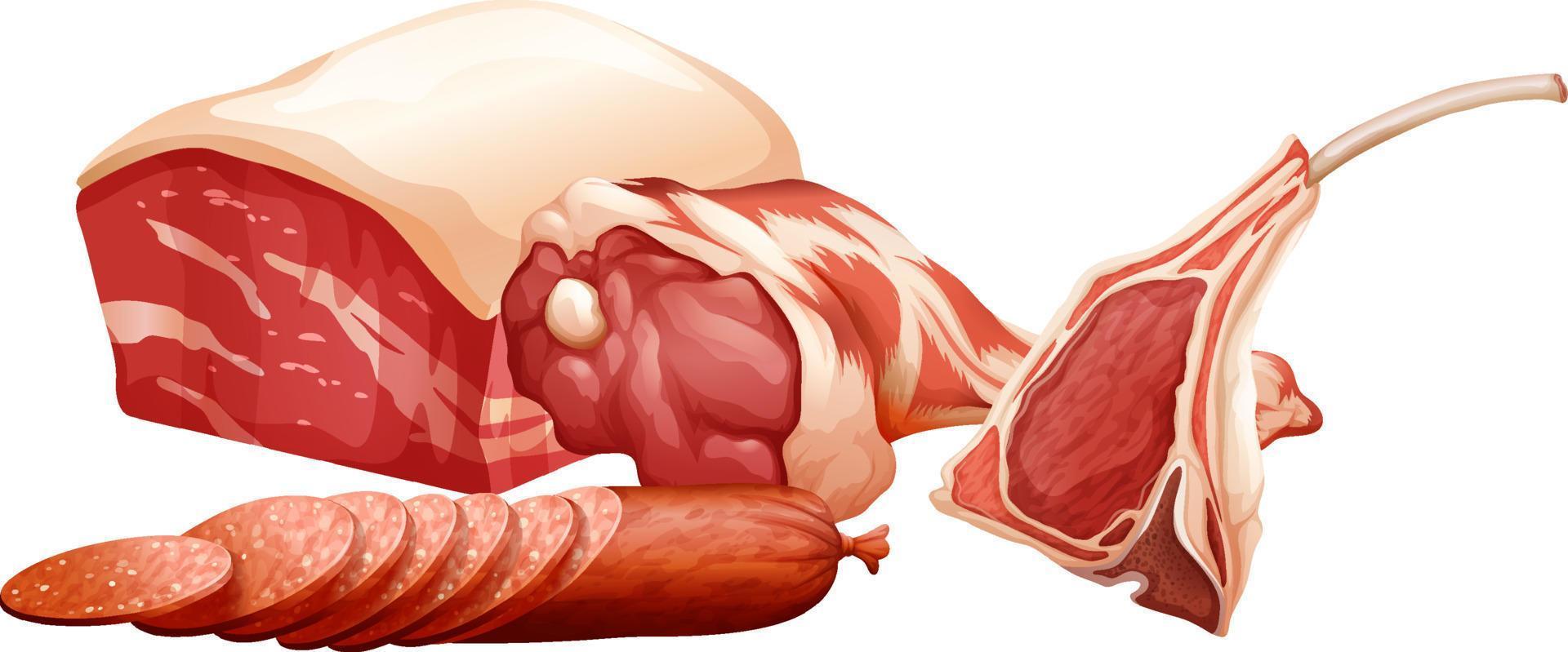 uppsättning av olika råa kött vektor