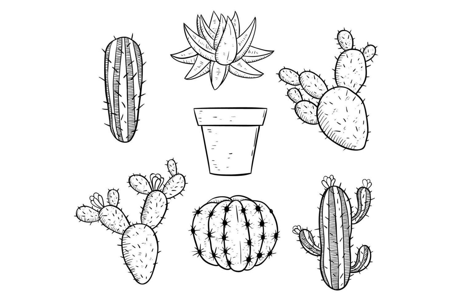 uppsättning hand rita kaktus vektor på vit bakgrund