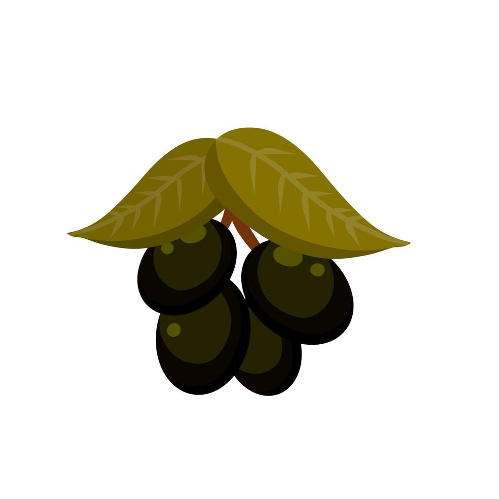 oliv. svart grönsak på gren med löv vektor