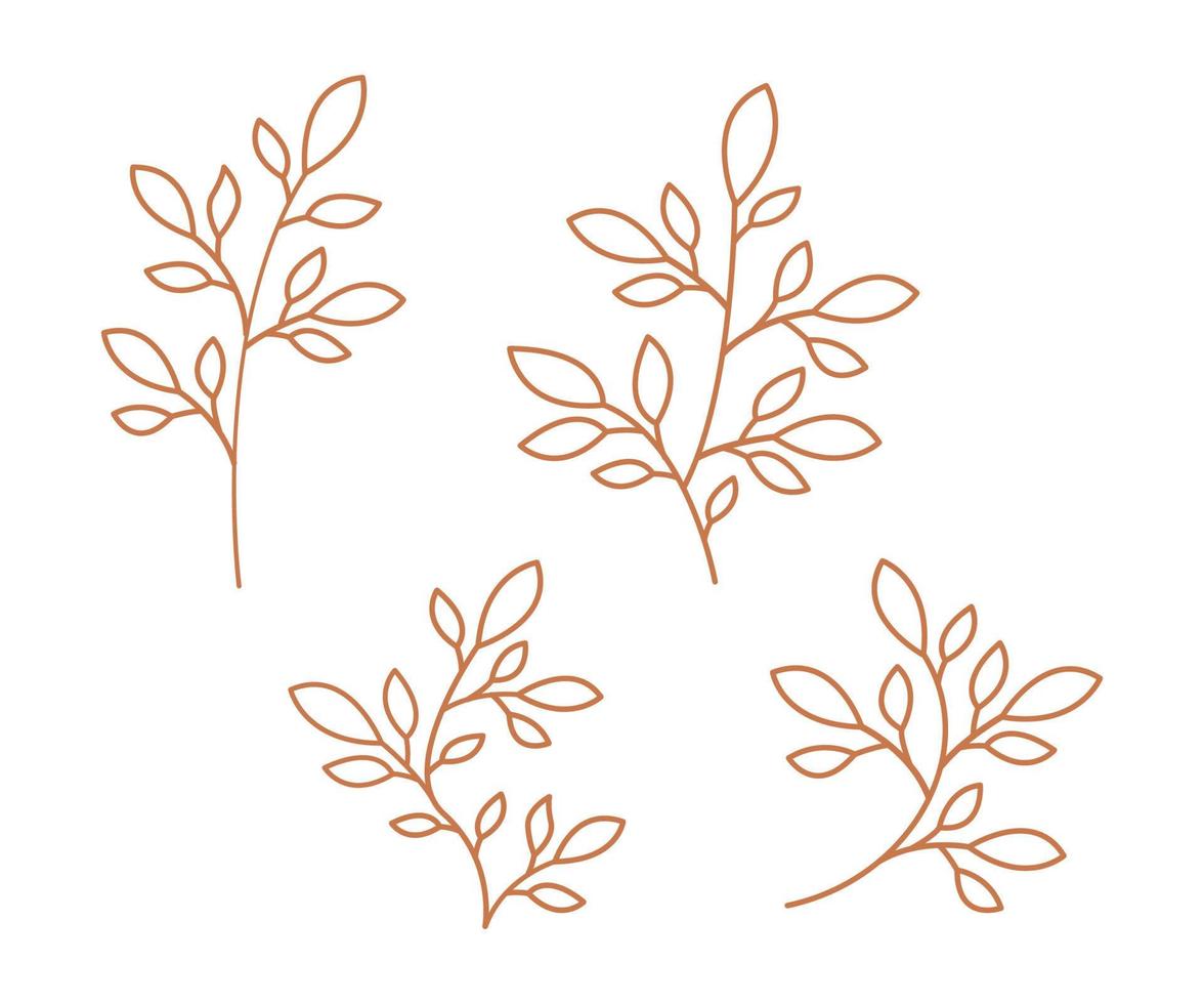 uppsättning löv, vektorgrenar och löv, handritade blomelement, set samlingsblad, konturdesign av löv vektor
