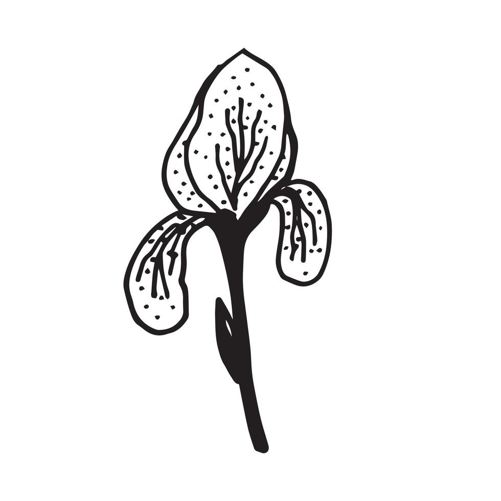 Vektorbild der Blume im Doodle-Stil vektor