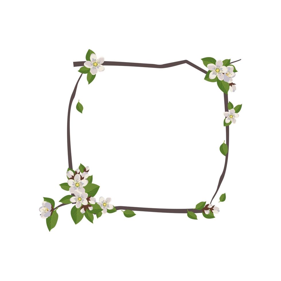 fyrkantig krans av körsbärs- eller äppelblommor. ram med vita blommor. vårblommande sammansättning med knoppar och löv. festlig dekoration för bröllop, semester, vykort och design. vektor illustration