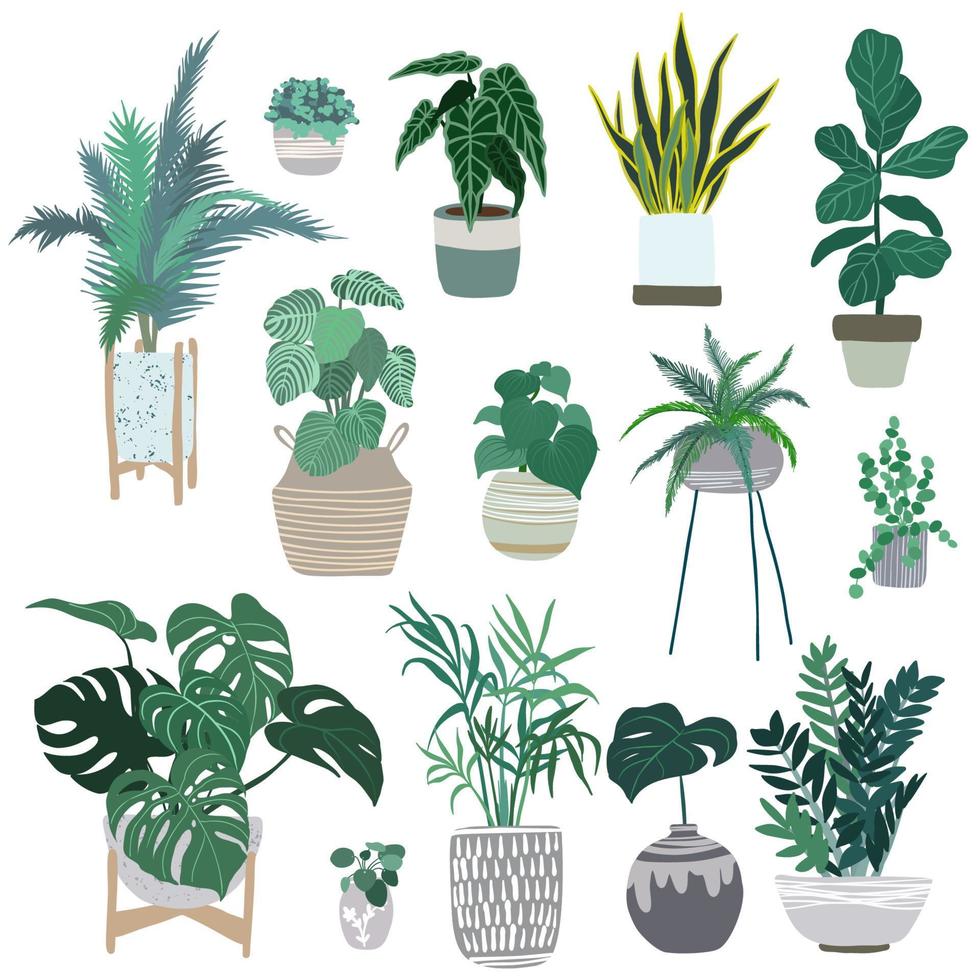 zimmerpflanzen in töpfen, trendige handgezeichnete vektorflachillustration, urbanes dschungeldesign, tropische pflanzen. vektor