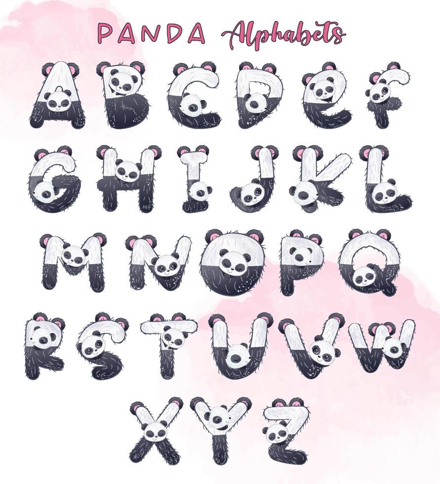 Baby Panda dekorative Buchstaben vektor