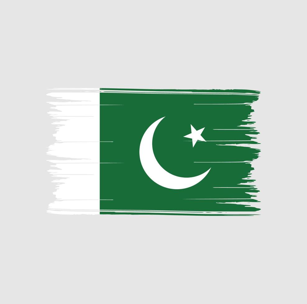 Pinselstriche der pakistanischen Flagge. Nationalflagge vektor