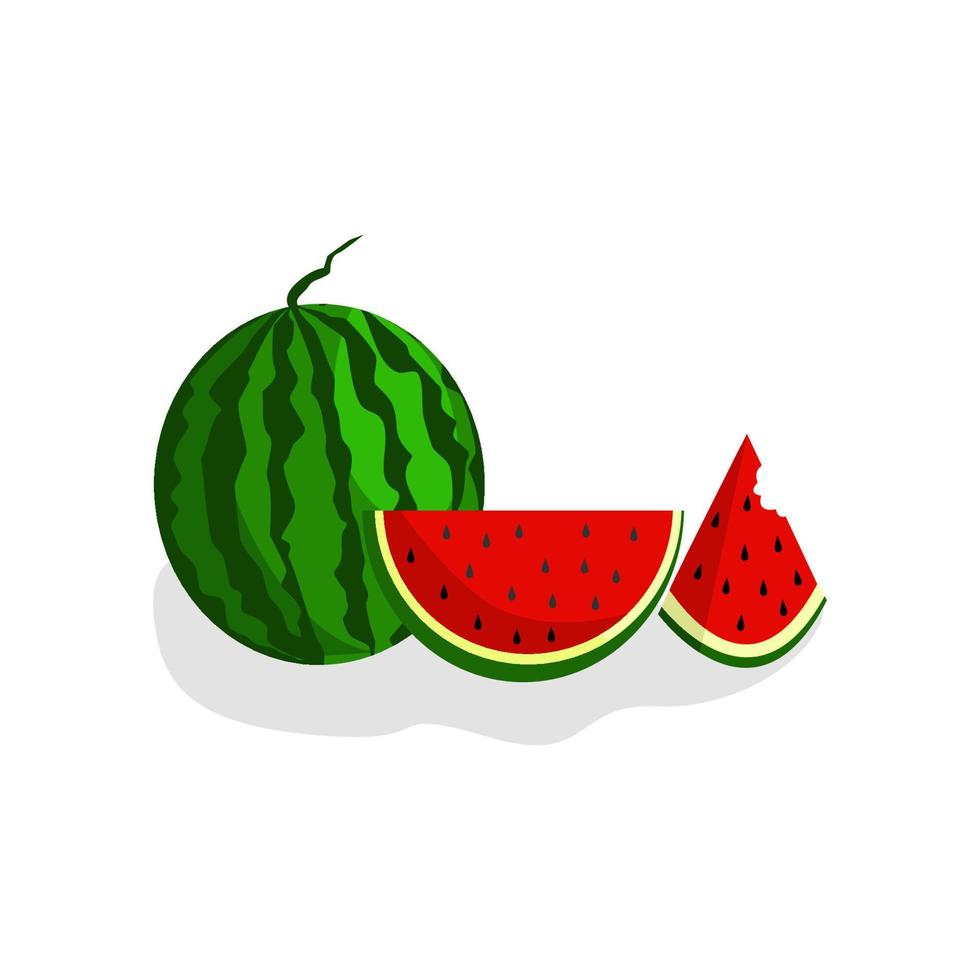 vattenmelon och vattenmelonskivor. vektor illustration.
