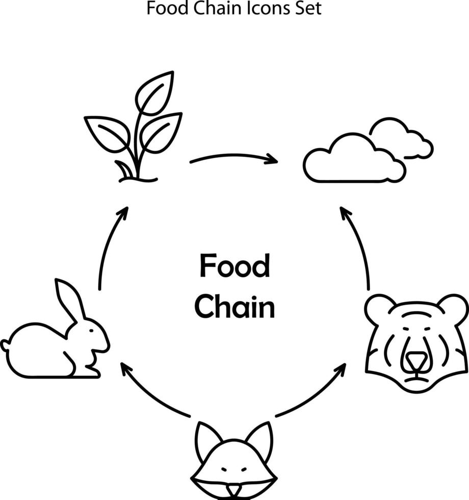utbildningsbanner för barn om näringskedjan i det vilda. vilda djur mat mönster diagram. vektor