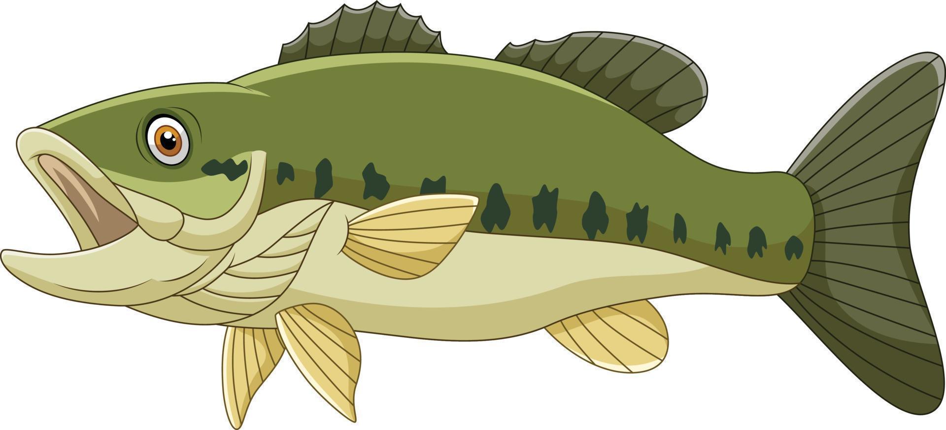 tecknad bas fisk isolerad på vit bakgrund vektor