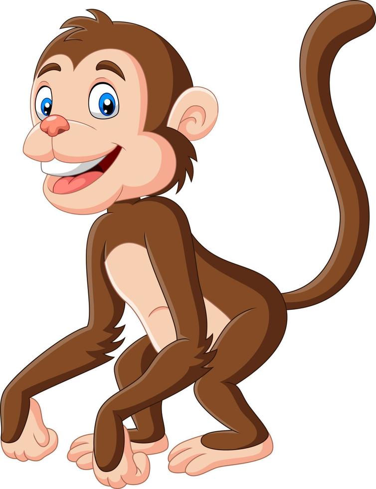niedlicher Baby-Affen-Cartoon auf weißem Hintergrund vektor