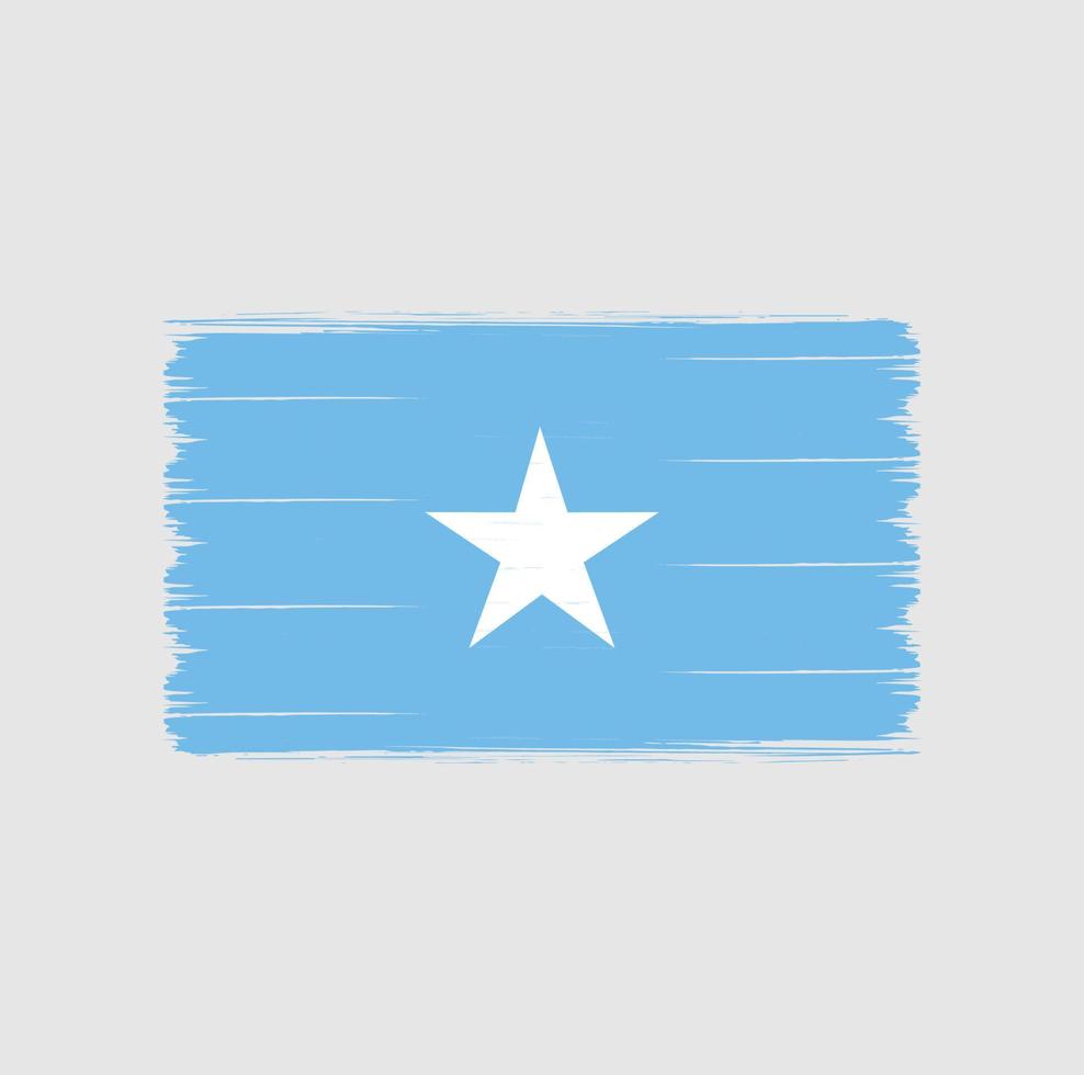 somalia flaggborste. National flagga vektor