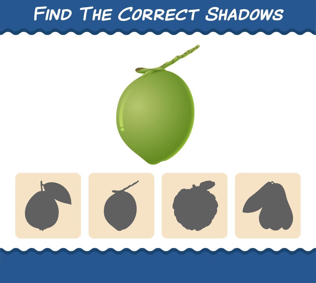Finden Sie die richtigen Schatten von Cartoon-Kokosnüssen. Such- und Zuordnungsspiel. Lernspiel für Kinder und Kleinkinder im Vorschulalter vektor