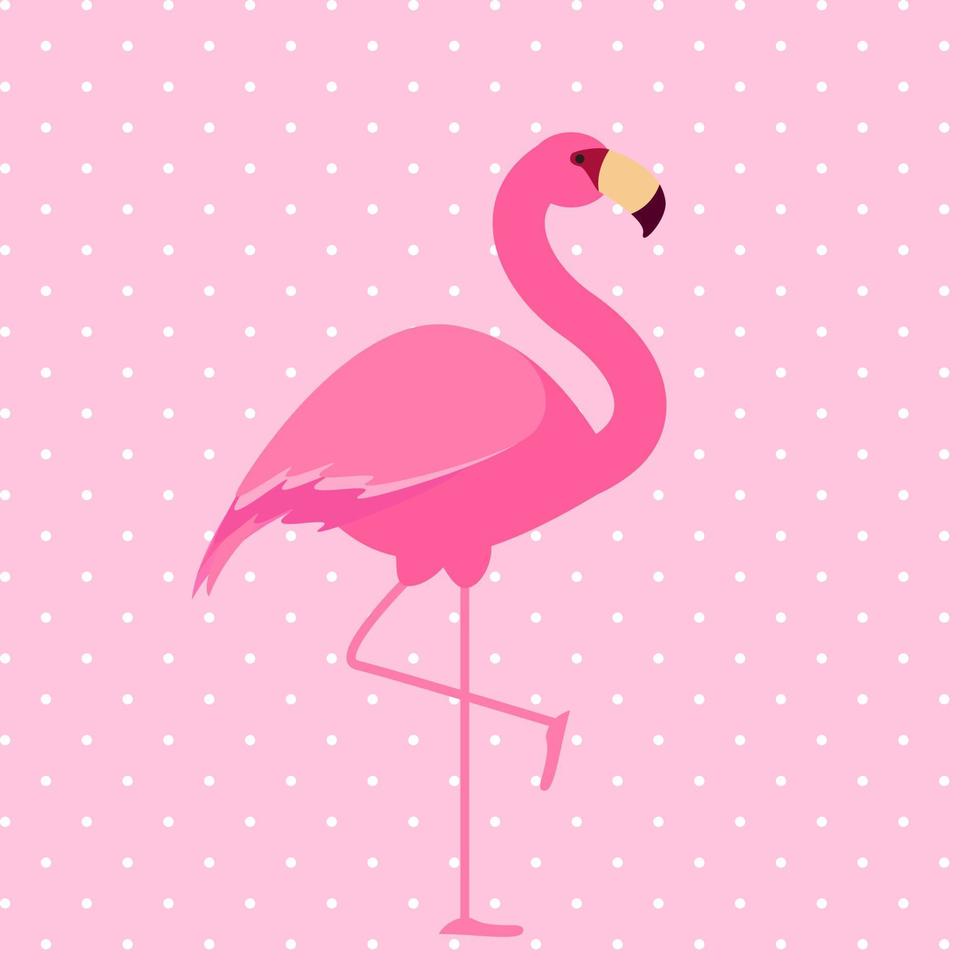 süßer rosa flamingo. Vektor-Illustration vektor