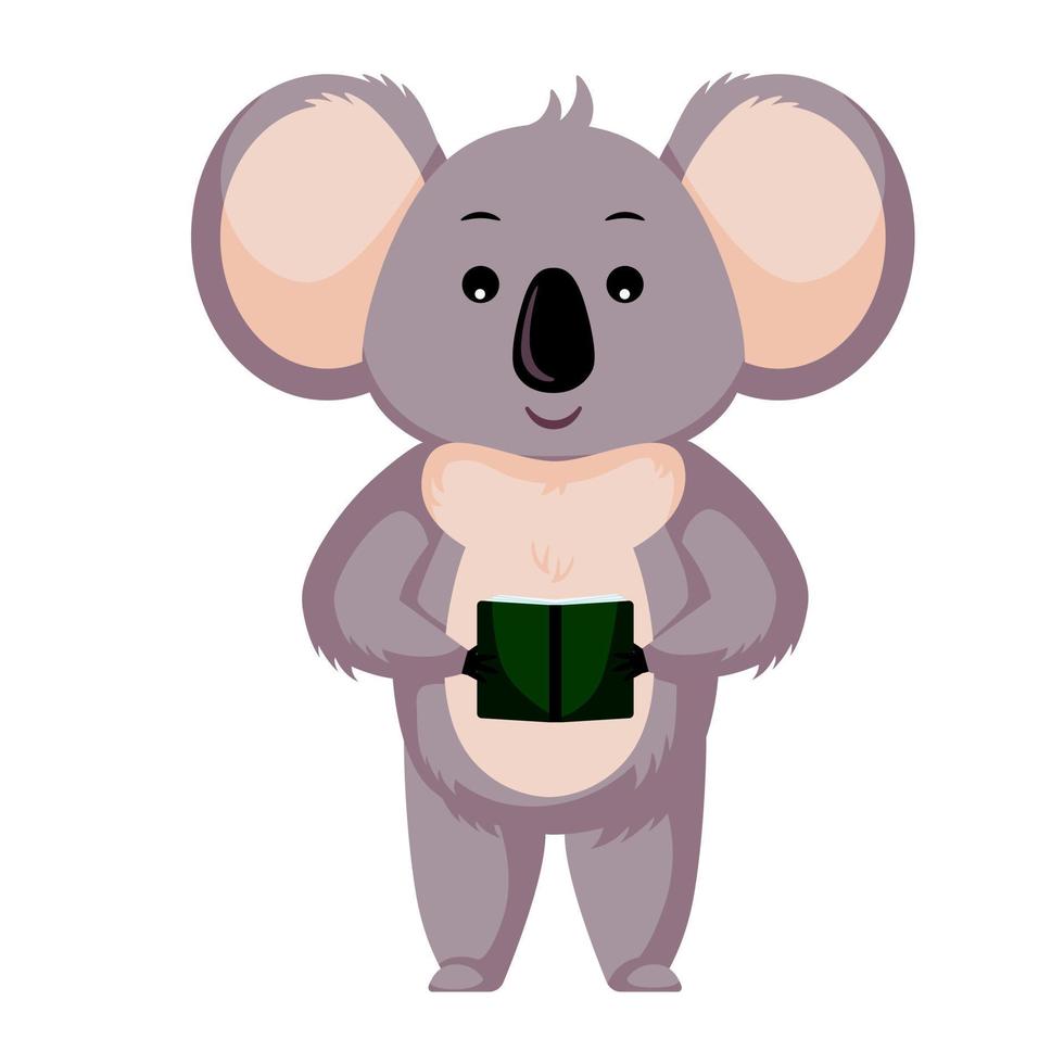 süßes Koala-Lesebuch isoliert auf weißem Hintergrund. zeichentrickfigur student. vektor