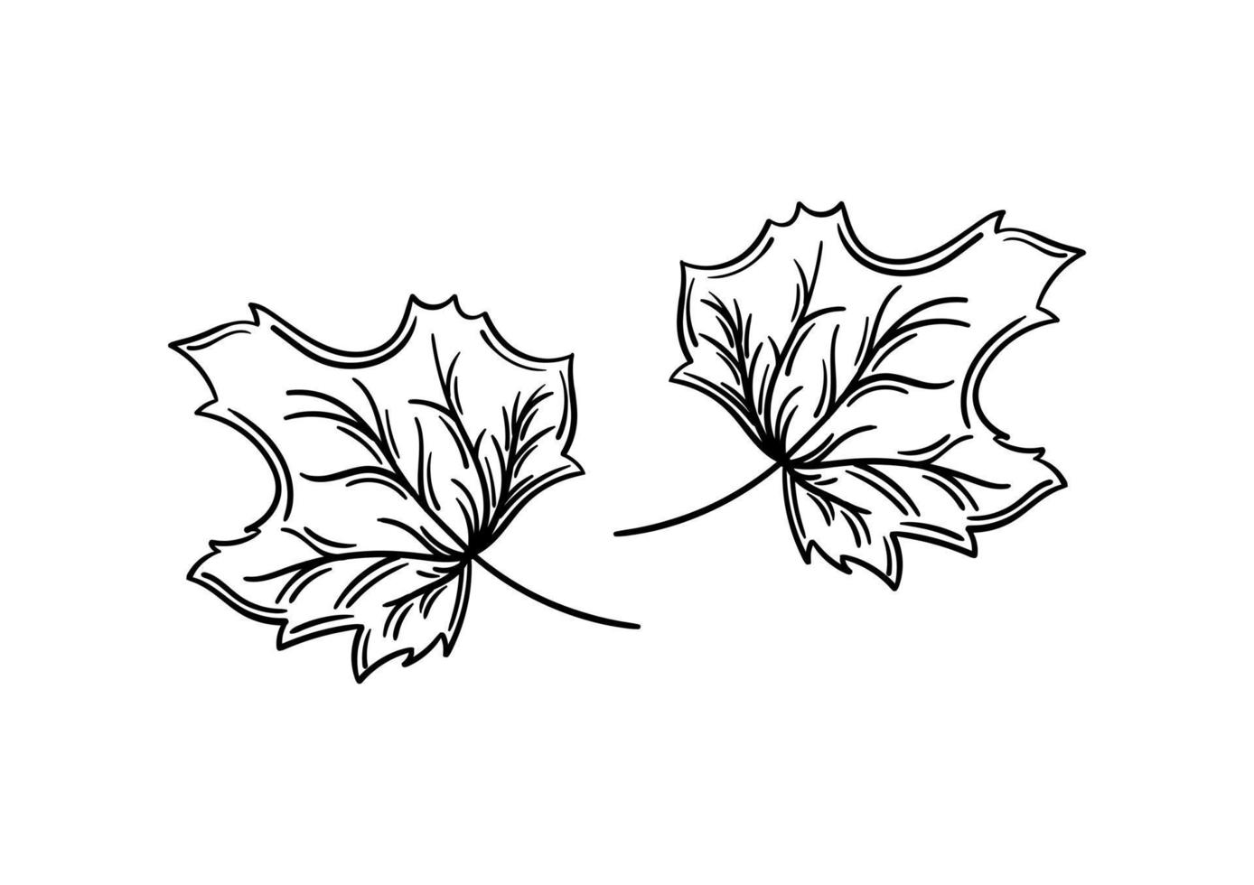 handritade löv med hösttema 7 vektor