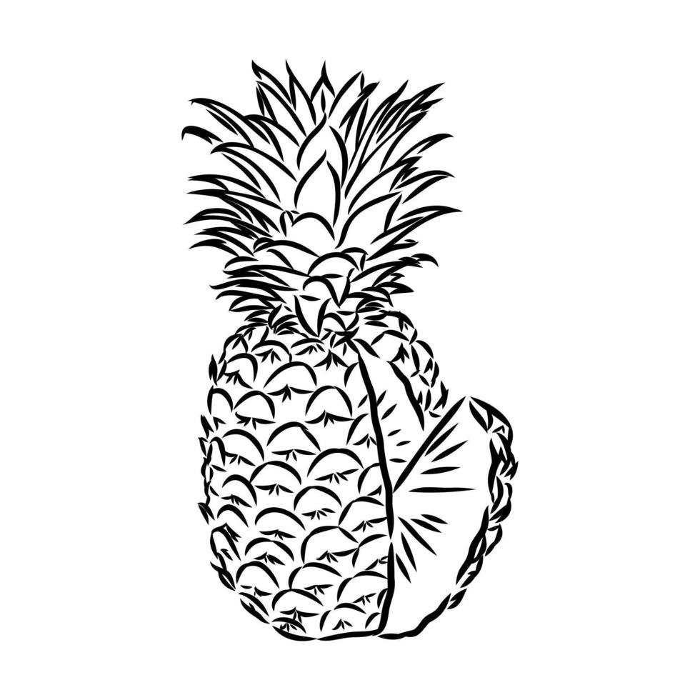 Ananas-Vektorskizze vektor