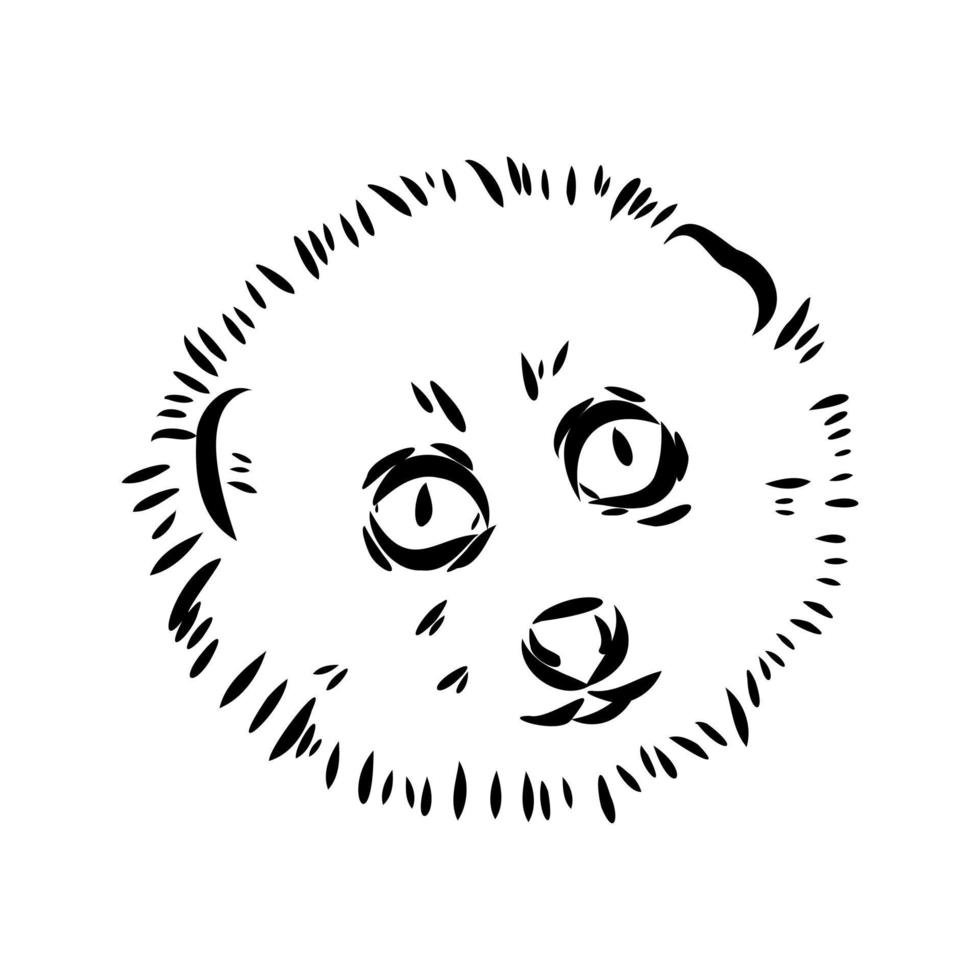 lemur lori vektor skiss
