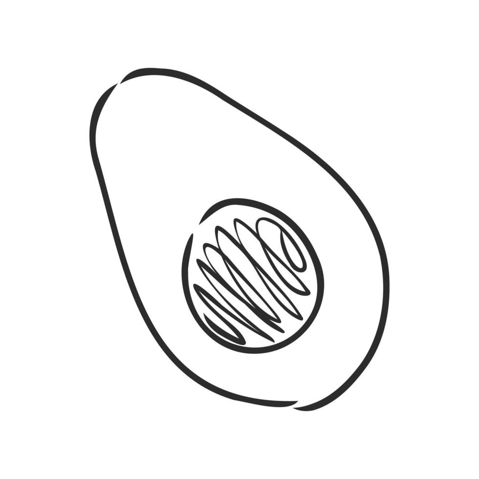 Avocado-Vektorskizze vektor