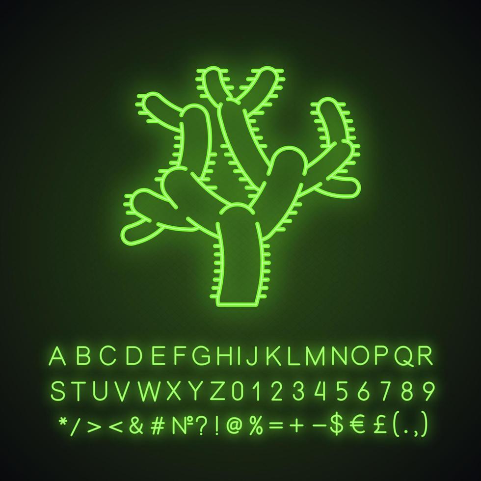 Teddybär-Cholla-Kaktus-Neonlicht-Symbol. Zylindropuntie. Kakteen mit zylindrischen Gelenken. Amerikanische tropische Pflanze. leuchtendes zeichen mit alphabet, zahlen und symbolen. vektor isolierte illustration