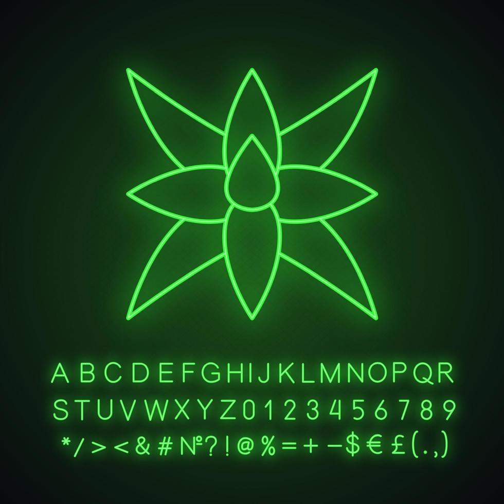 Fuchsschwanz-Agaven-Neonlicht-Symbol. südamerikanische Wüstenpflanze. Agave abschwächen. exotische Blume. leuchtendes zeichen mit alphabet, zahlen und symbolen. vektor isolierte illustration