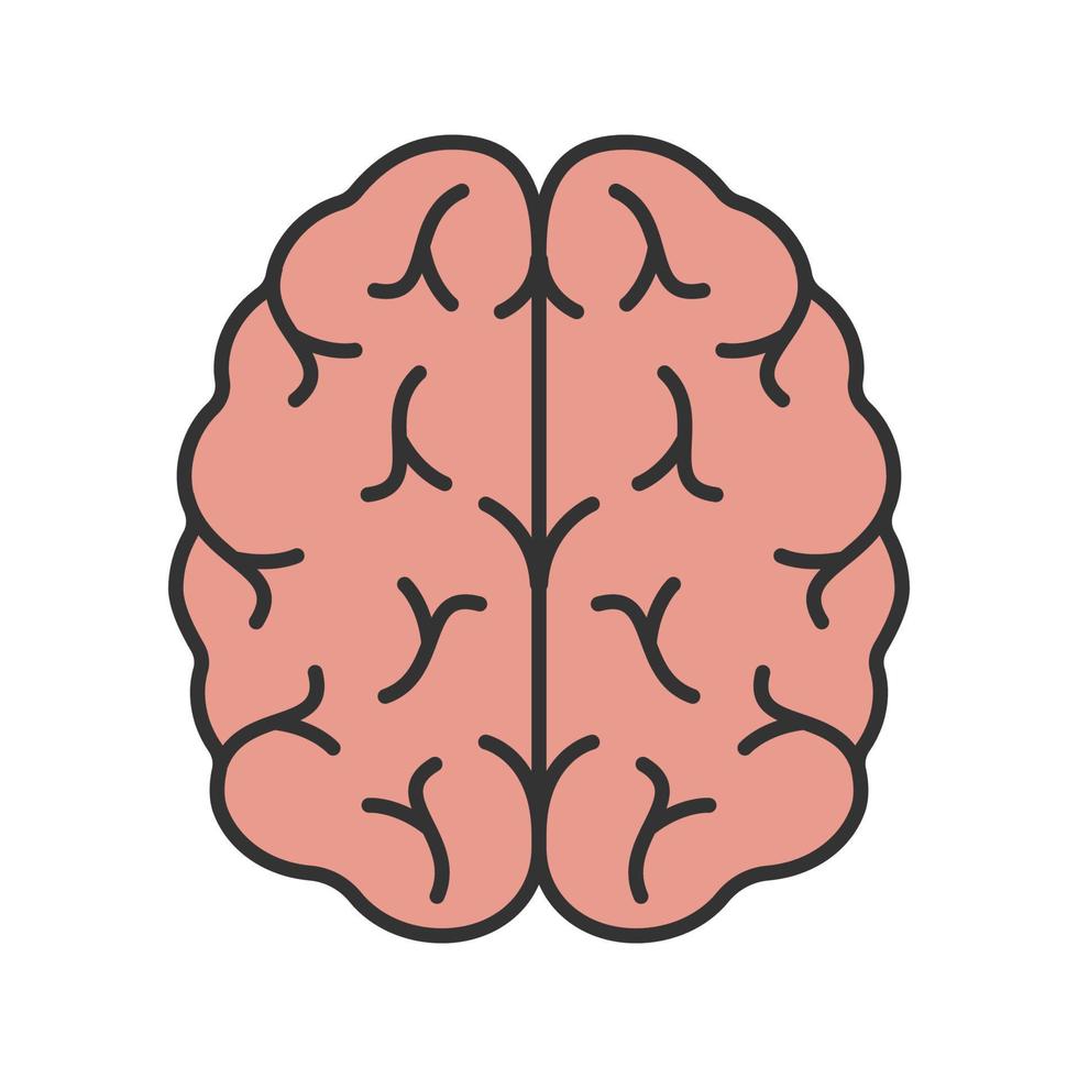 mänskliga hjärnans färgikon. nervsystemets organ. isolerade vektor illustration