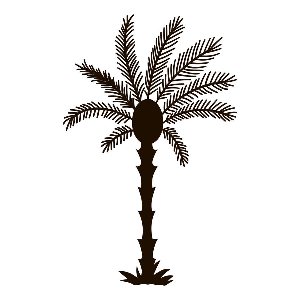 vektor tropisk palm siluett. svart djungel lövverk ikon. handritad exotisk växt isolerad på vit bakgrund. svart sommar grönska illustration.