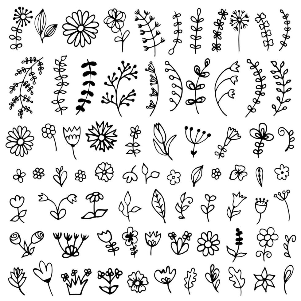 stor samling av doodle blommor och löv vektor