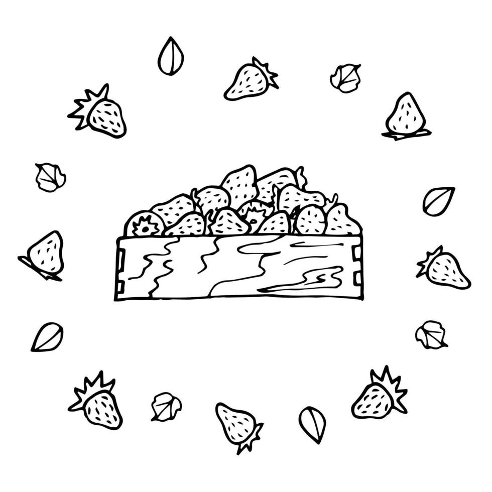 jordgubbar doodle i låda isolerad på vit bakgrund vektor