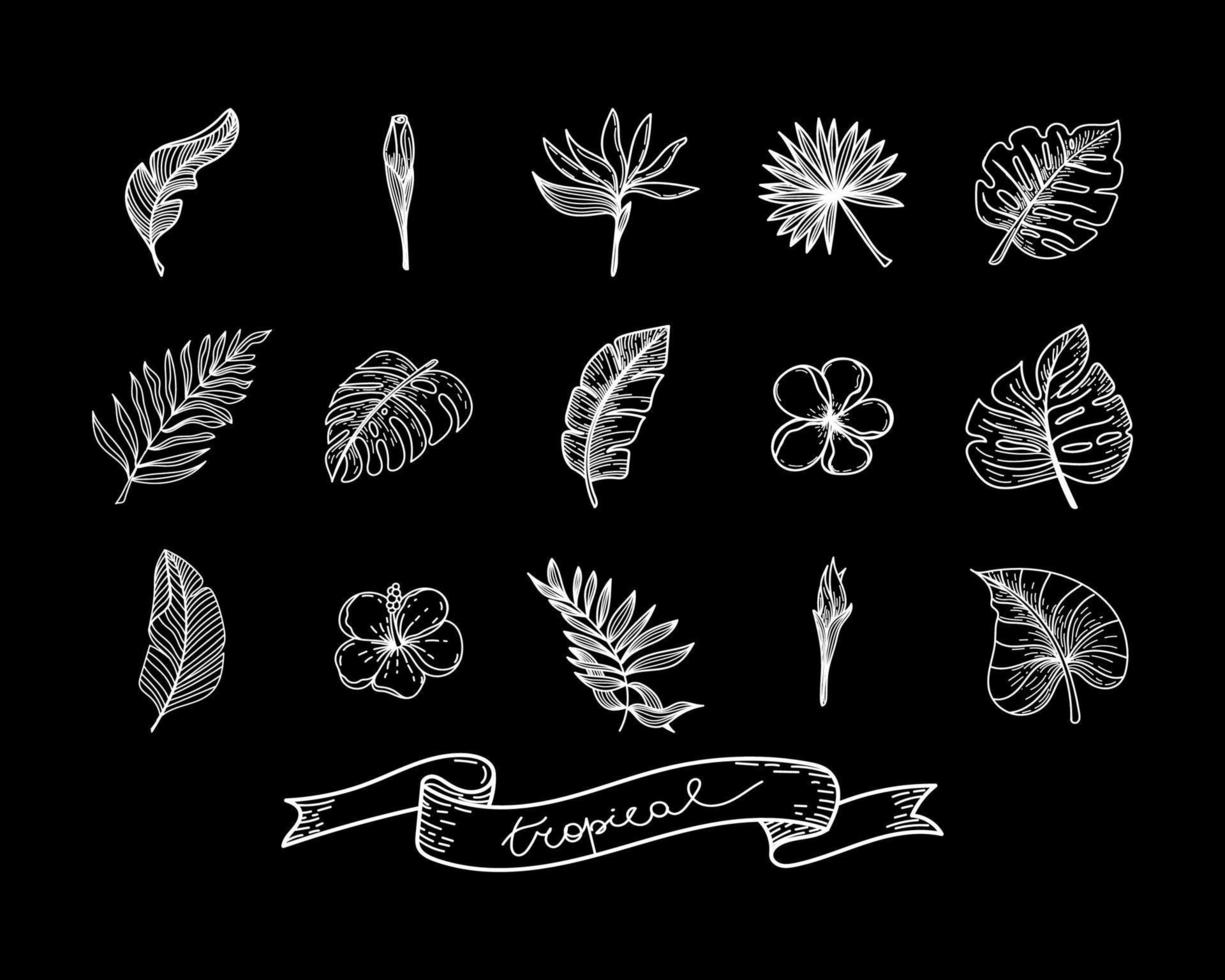 en uppsättning silhuetter av tropiska element av tropiska strelitziablommor, hibiskus, monsterblad, bananblad, etc. handritade element i klotterstil på en svart bakgrund. handritad tropisk vektor
