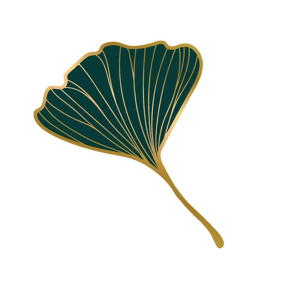 vektorillustration des ginkgo-biloba-blattes. Tintenlinie Kunstdesign vektor