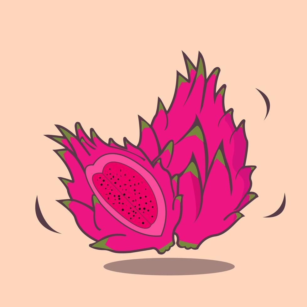 grundläggande rgb dragon frukt konceptuell design illustration vektor