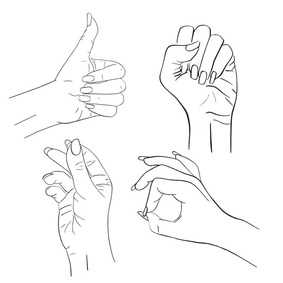 Vektorsatz weiblicher Hände und Gesten. Frauenhandsammlung - Aktienskizzenzeilenillustration lokalisiert auf weißem Hintergrund. Malbuch. Daumen hoch, Fingerschnippen, ok, geballte Faust. vektor