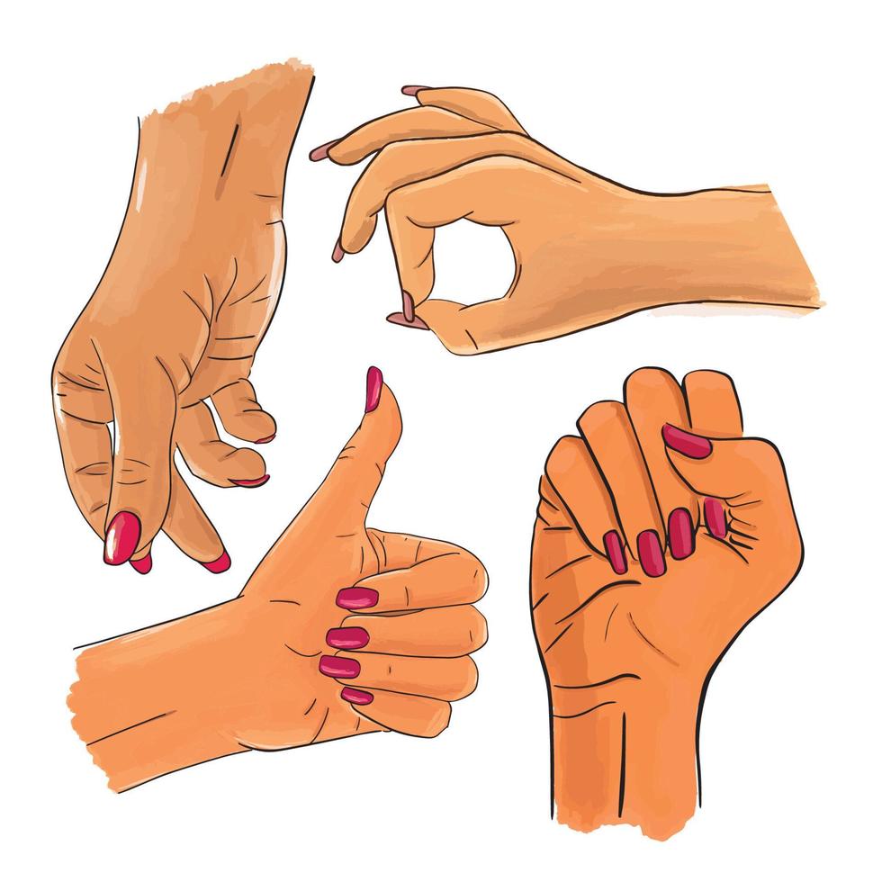 vektor uppsättning kvinnliga asiatiska händer och gester. kvinna hand samling - lager skiss linje illustration isolerad på vit bakgrund. tummen upp, knäppande finger, ok, knuten näve.