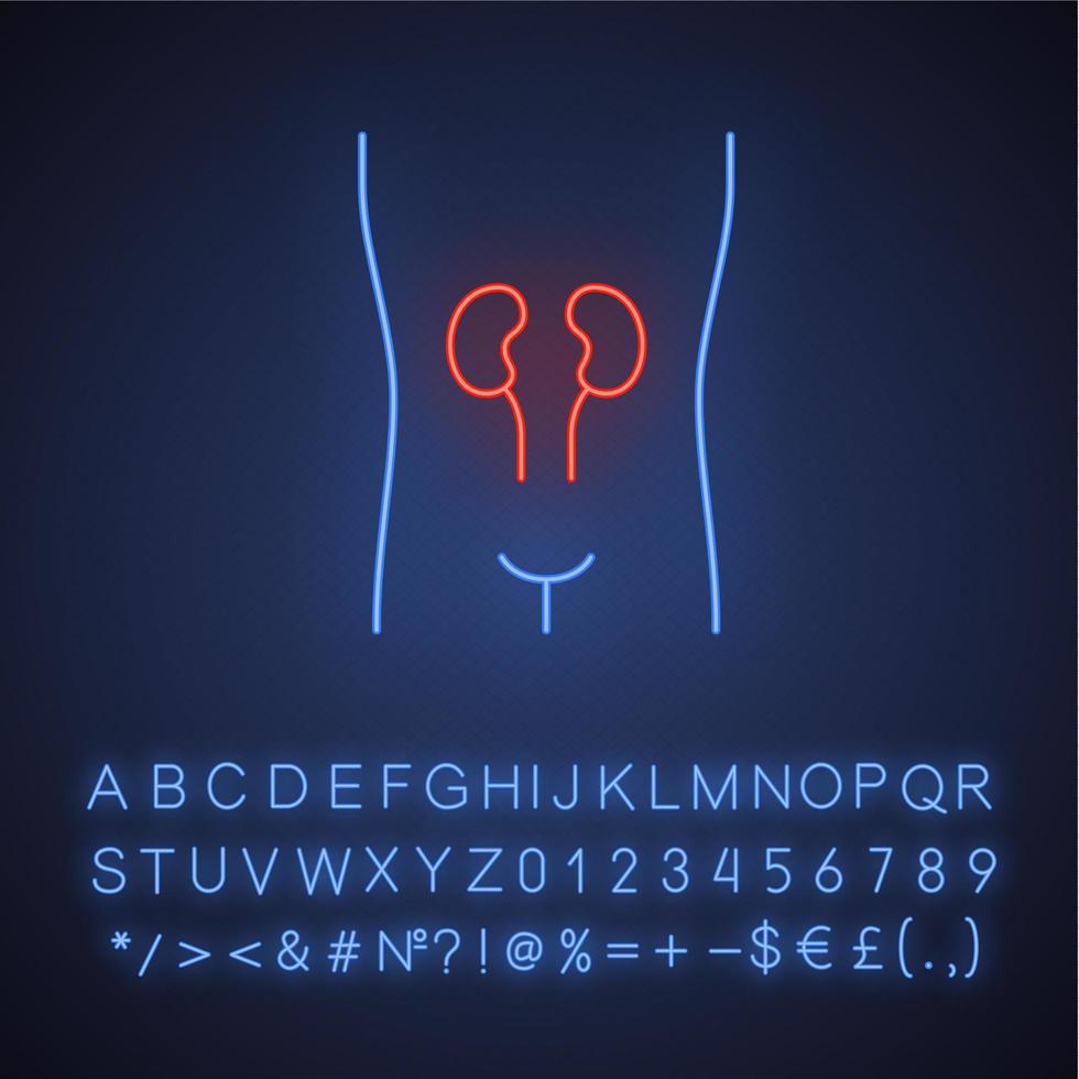 Symbol für gesunde Nieren Neonlicht. menschliches organ bei guter gesundheit. gesundes Harnsystem. leuchtendes zeichen mit alphabet, zahlen und symbolen. vektor isolierte illustration