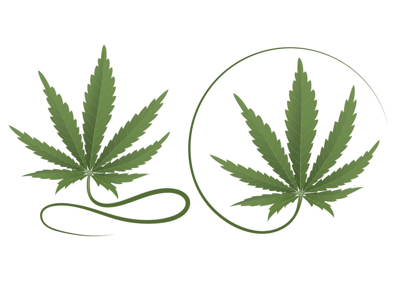 Cannabis-Blatt-Vektor vektor
