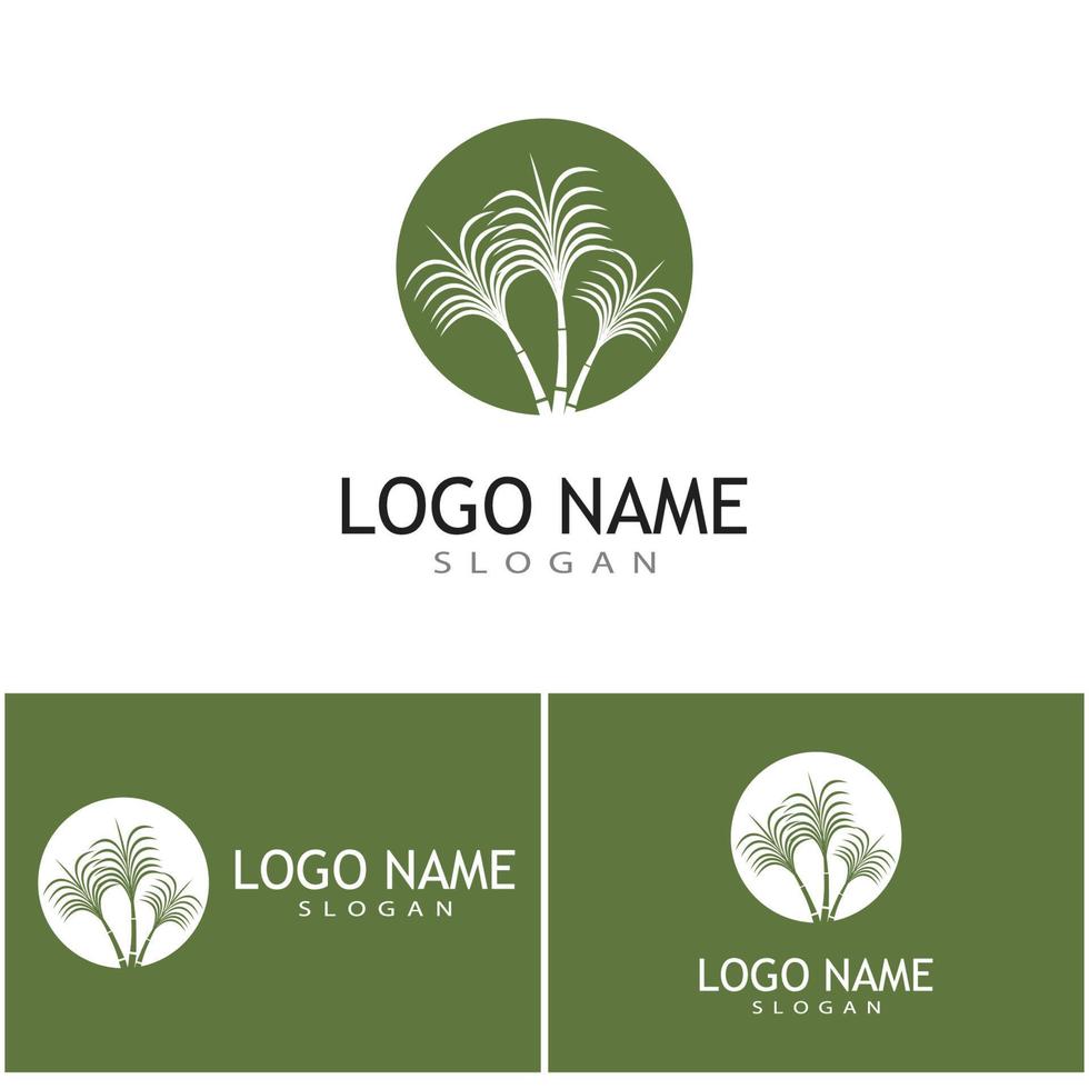 Zuckerrohr Logo Vorlage Vektor Symbol Natur