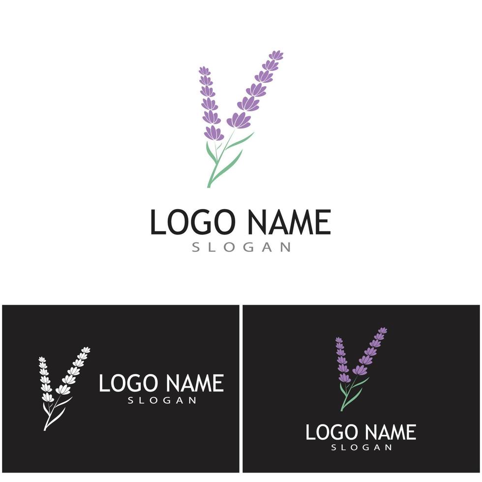 Lavendel Logo Vorlage Vektor Symbol Natur