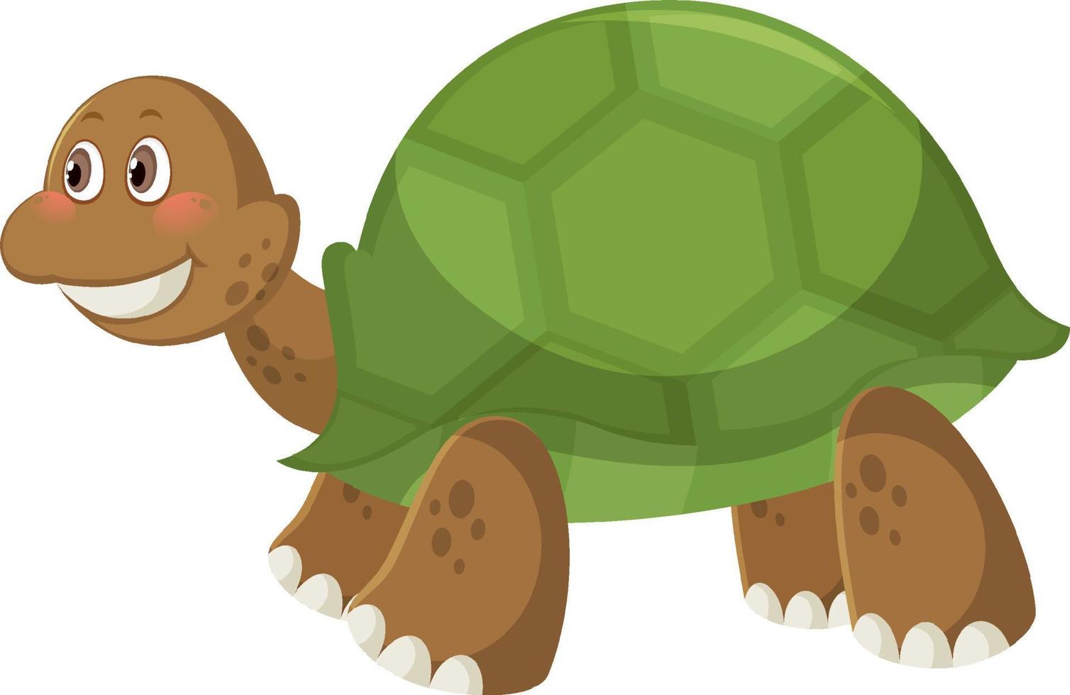söt enkel sköldpadda tecknad på vit bakgrund vektor