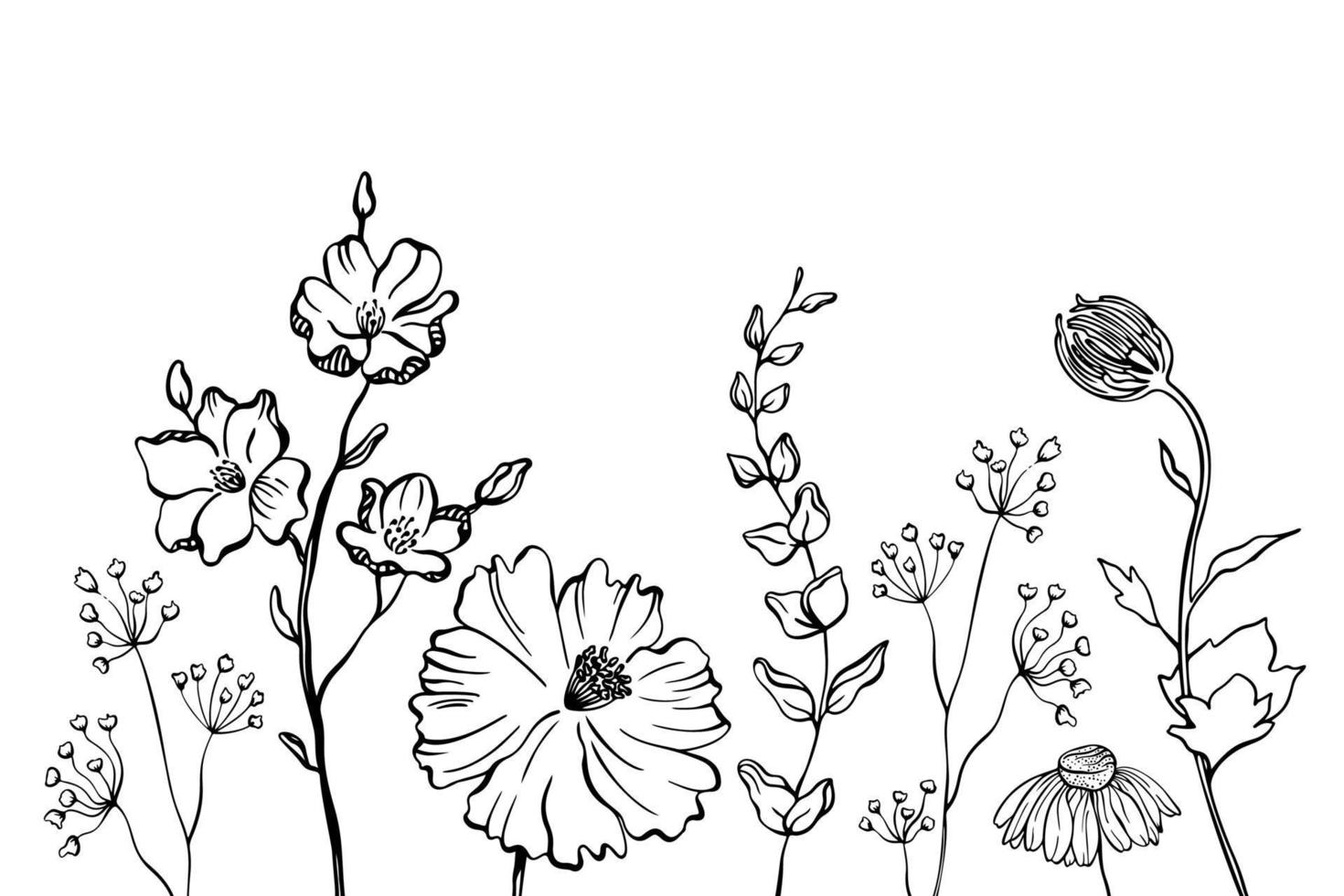 svarta silhuetter av gräs, blommor och örter isolerad på vit bakgrund. handritad skiss blommor. vektor