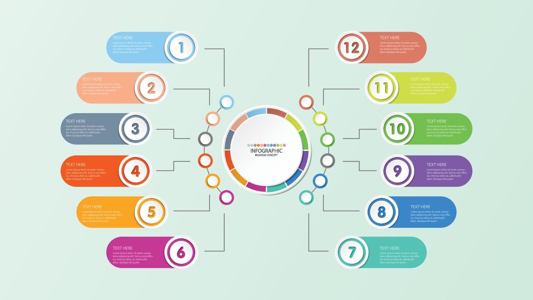 grundläggande cirkel infografisk mall med 12 steg, process eller alternativ, processdiagram. vektor