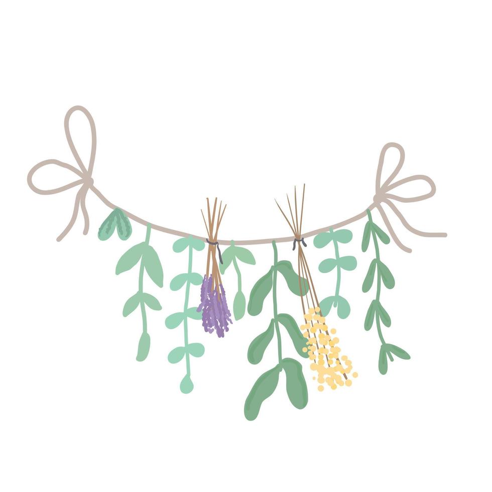 getrocknete Blumen. Pflanzen werden an einem Seil getrocknet. lavendel.vektorillustration vektor
