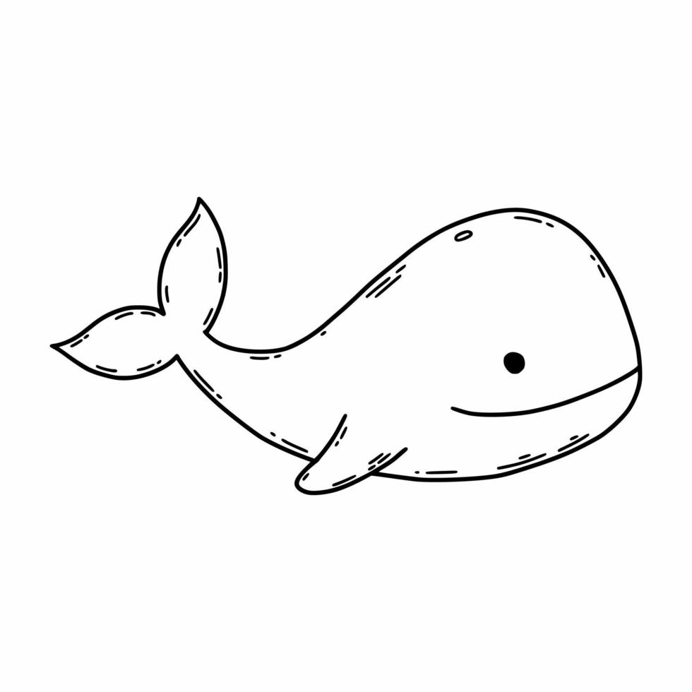 söt val. vektor doodle illustration. målarbok för barn. marin flora och fauna. djur i havet.